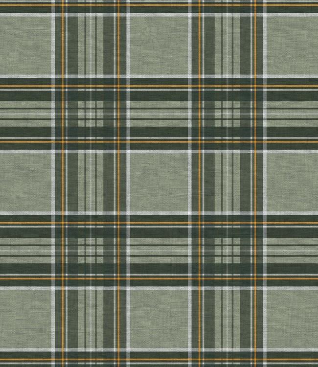 BONITA - 140cm - 20m - TARTAN GREEN